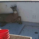 A very lucky deer to lived to see another day.